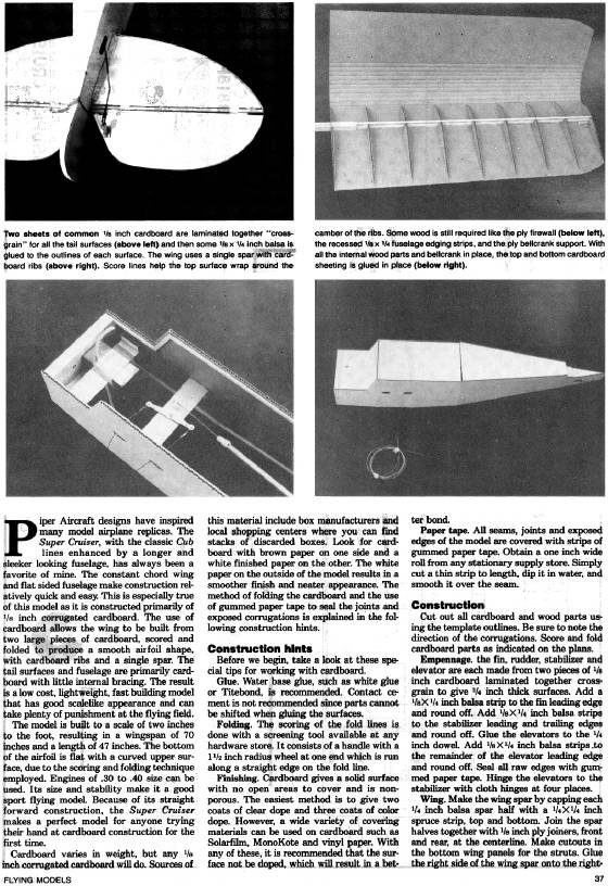 CUBWEB8.jpg