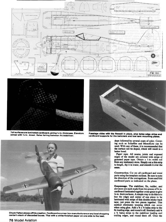 FW190WEB8.jpg